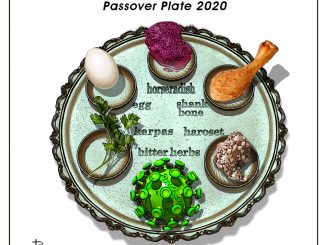 Passover-Plate-2020-7c37fa3ad87d8bd1f1a1557e3880ce0cac2ab445
